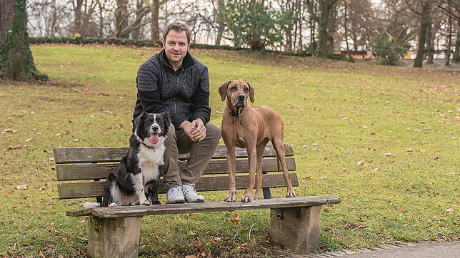 Hundeprofi Martin Rütter.