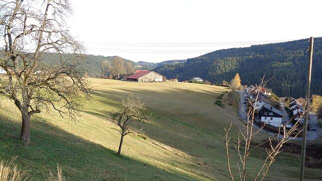 Hier soll das Baugebiet Bergacker IV entstehen.