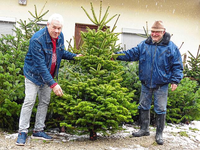 Der Baum ist schön! befinden Rudolf Reimann aus Ravensburg und Rudolf Müller vom Tannenmühlhof in Wangen. Bild: Christiane Keutner