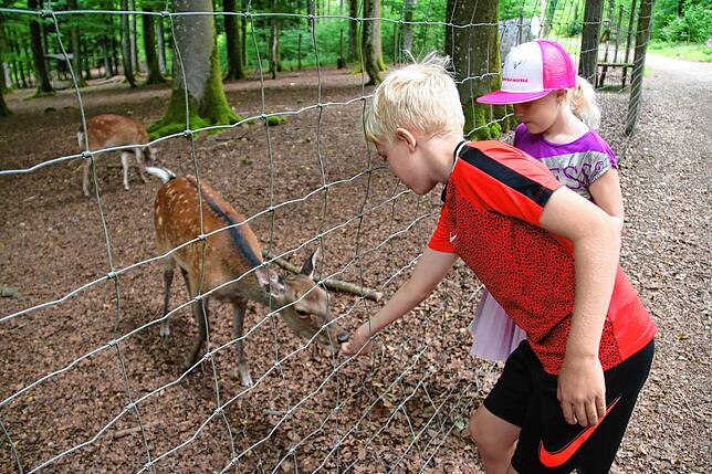 Bild 22: SÜDKURIER öffnet Türen im Waldshuter Wildgehege &ndash; und wir haben die Bilder