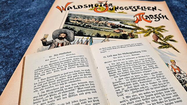 Im Traditions-Lied der Junggesellen und Alt Waldshut heißt es in der zweiten Strophe: &bdquo;Vom Spittelwald zu Habers&lsquo; Trott da ...