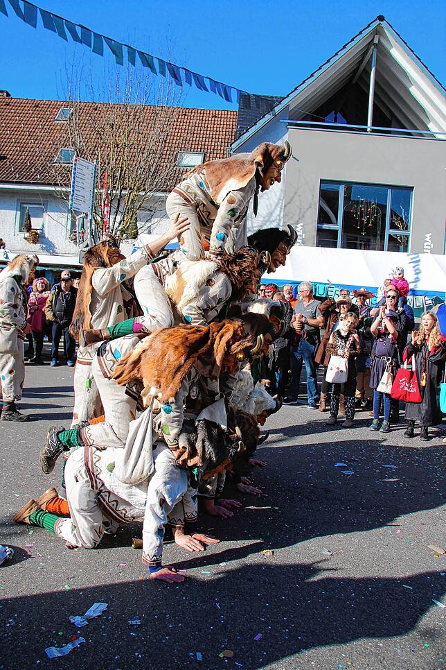 Auch die Geißenzunft aus dem Ortsteil Weizen bringt eine Menschenpyramide zuwege, was längst nicht allen teilnehmenden Gruppen gelingt ...