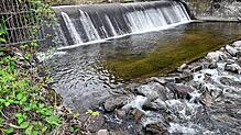 Notwendig: Beim Mentonwehr an der Wiese in Hausen soll eine Fischtreppe angelegt werden. Foto: Edgar Steinfelder