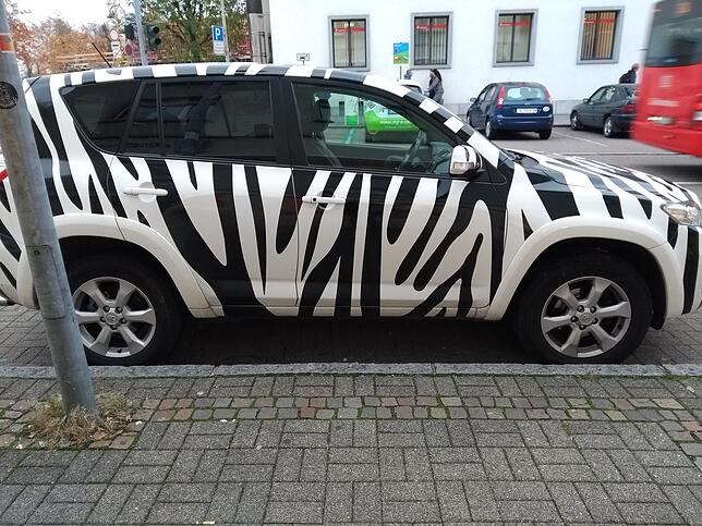Ein motorisiertes Zebra war in Waldshut zu bewundern. Bild: Laura Marinovic
