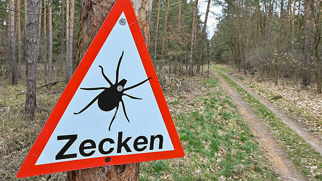 Ein Schild warnt in einem FSME-Risikogebiet vor Zeckenbissen.