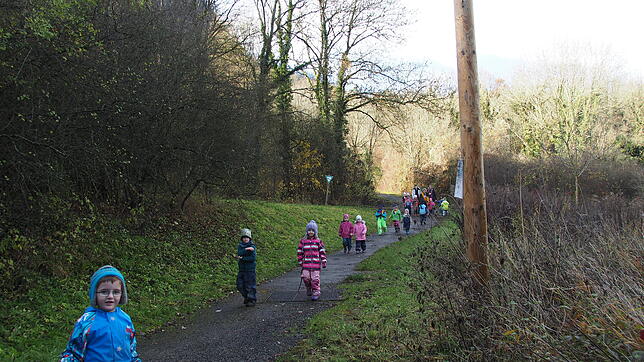 Die Kinder des Waldorfkindergartens erforschen den Hohentwiel. Hier kommt eine Gruppe vom Ausflug zurück. Doch der Wald hat sich ...