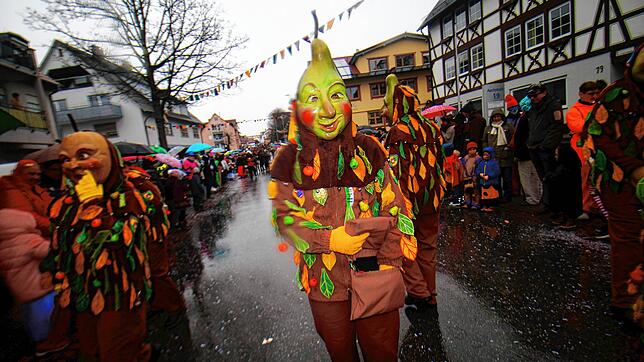 Bild : Narren trotzen Regenwetter