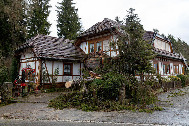 Im Villingen-Schwenninger Ortsteil Zollhaus stürzte eine große Tanne auf ein Wohnhaus. Bild: Hans-Jürgen Götz