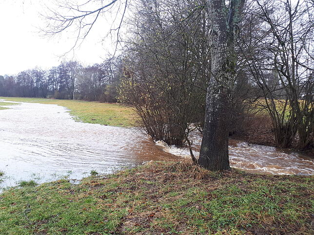 Der Wolfbach bei Pfaffenweiler um 12.30 Uhr.