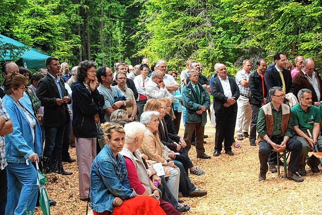 Bestattungswälder sind eine relativ junge Bestattungsform. Im Mai 2000 wurde der Friedwald in Friedenweiler eingeweiht.