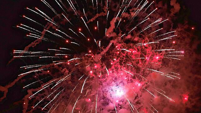 Bild : Die besten Bilder vom Schlossseefest 2025 in Salem