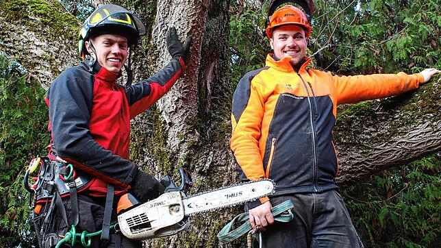 Baumkletterer Luka Hoschka (links) und Simon Zimmermann arbeiten öfter zusammen, wenn es darum geht, einen Baum in luftigen Höhen zu ...