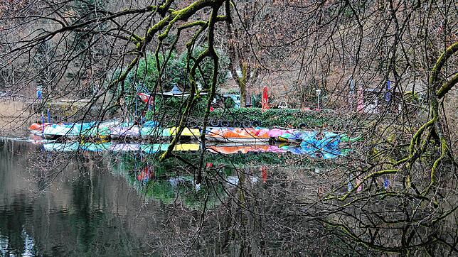 Alles ist startklar. Knospen setzen an und im Februar sehen auch schon die Tretboot im Bergsee startbereit aus.