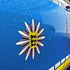 Die Landespolizei von Baden-Württemberg. Das Foto entstand als Symbolfoto im Polizeirevier Überlingen, das zum Polizeipräsidium ...