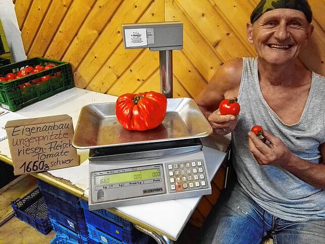 Ein Grund zum Strahlen: Im August 2016 hat Dieter Haug diese Tomate mit 1,66 Kilogramm gezüchtet &ndash; ganz ohne chemisch-synthetische ...