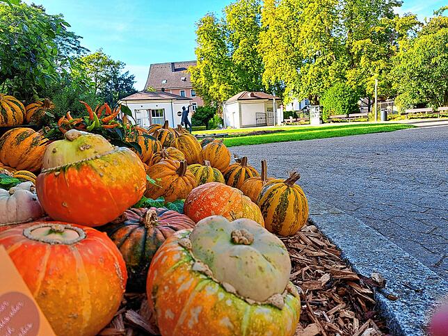 Dekoration: Nur wenig deutet im September auf Herbst hin.