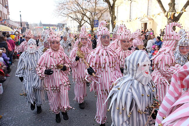 Bild 29: Bilder vom großen Narrenbaum-Umzug aller Singener Zünfte (Teil 2)