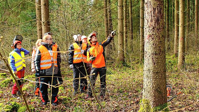 Forstwirt Jens Brauer bestimmte mit den Teilnehmerinnen die Fallrichtung eines Baumes, der mit Borkenkäfer befallen ist. Bilder: Christl ...