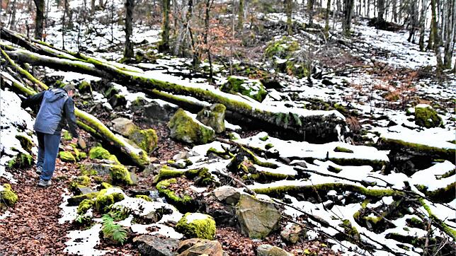 Im Urwald geht‘s über Stock und Stein.