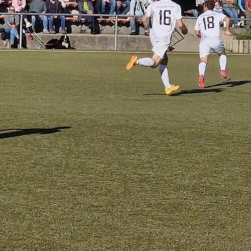 swu fcg