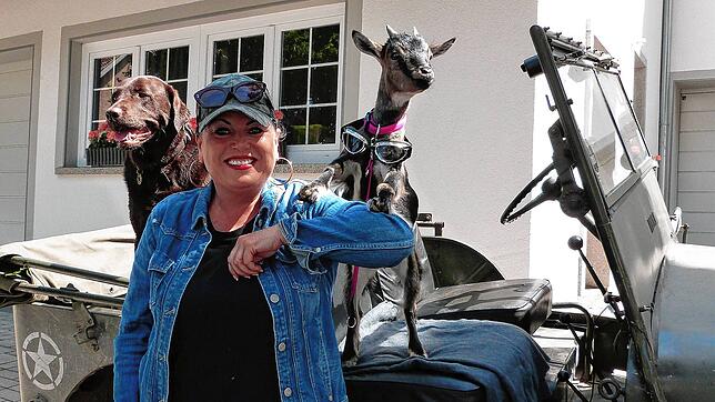 Im Jeep zu fahren macht Zwergziege Rosalie immer ganz besonderen Spaß. Schön, wenn Labrador Max und &bdquo;Tiermutti&ldquo; Alexandra ...