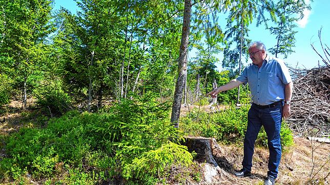 Die Errichtung der Waldweide auf der Gemarkung Häusern ist auf gutem Weg. Bürgermeister Thomas Kaiser informierte über den Stand der ...