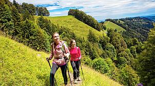 Bild : Urige Berggasthäuser und viel Alpen-Panorama: Wandern Sie rund um das Schnebelhorn