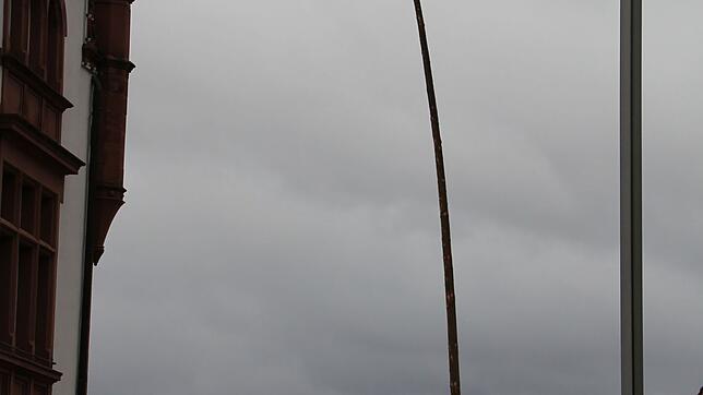 Der Narrenbaum wogte bei dem stürmischen Wind hin und her.