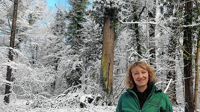 Karin Beer, Forstoberinspektorin der Stadt Friedrichshafen, vor einem Baumtorso.