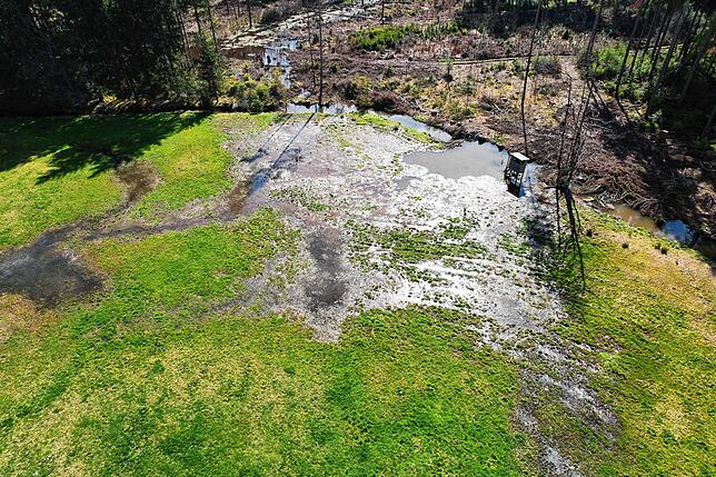 Die Aufnahme von oben zeigt das Ausmaß des überschwemmten Weidelandes beim Binsenhof in Pfaffenweiler. Die Aktivitäten der Biber haben ...