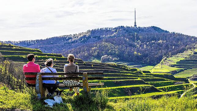 Drei Menschen sitzen auf einer Bank, mit Blick auf den Kaiserstuhl.