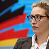 Alice Weidel wartet im Reichstagsgebäude auf den Beginn einer Sitzung. In Berlin steht ihr als AfD-Fraktionschefin eine Dienstwohnung ...