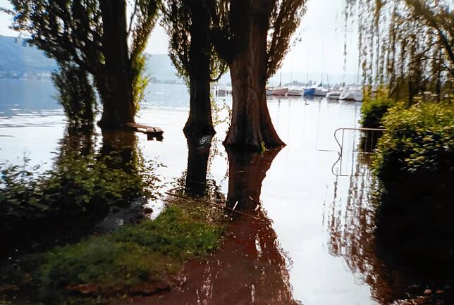 Bild 22: Jahrhunderthochwasser am Bodensee: Neue Bilder zeigen das Ausmaß