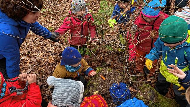 Bild : Ein Tag Waldkindergarten: Diese Kinder sind auch im Winter immer draußen