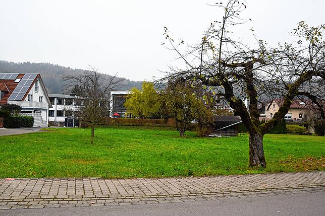 Der Gemeinde gehört dieses Wiesengrundstück bei der Sernatingenschule (Hintergrund). Die Fläche rechts daneben nicht, aber der ...