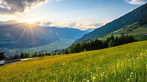 Im Zillertal in Tirol machte ein deutscher Tourist eine ungewöhnliche Entdeckung.