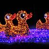 (Archivbild) Bekanntes Motiv: Die vier Enten auf der Mainau, so sehen sie bei Christmas Garden (Bild von 2021) aus. In diesem Jahr gibt ...