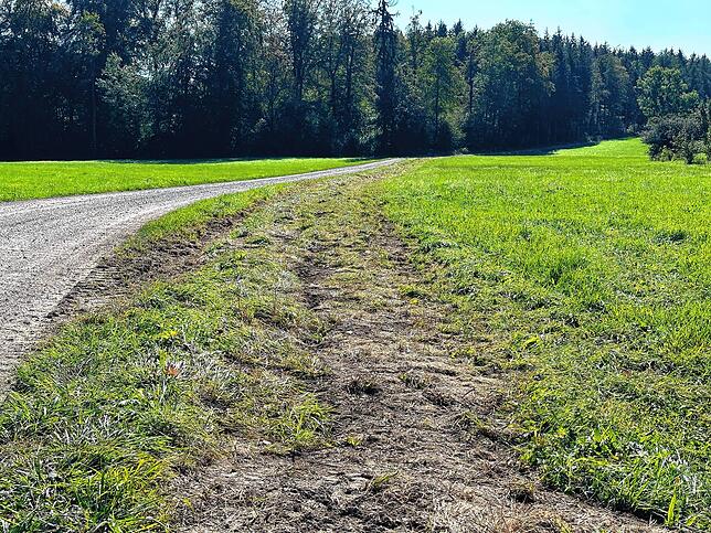 Der Boden neben einem Schotterweg auf der Länge ist etwas aufgewühlt. Darunter sind die Kabel bereits verlegt.
